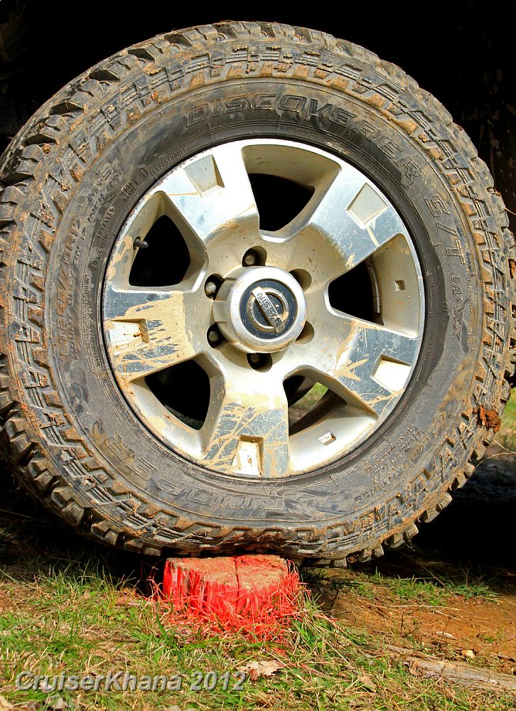 09-Stump Climb-2.JPG